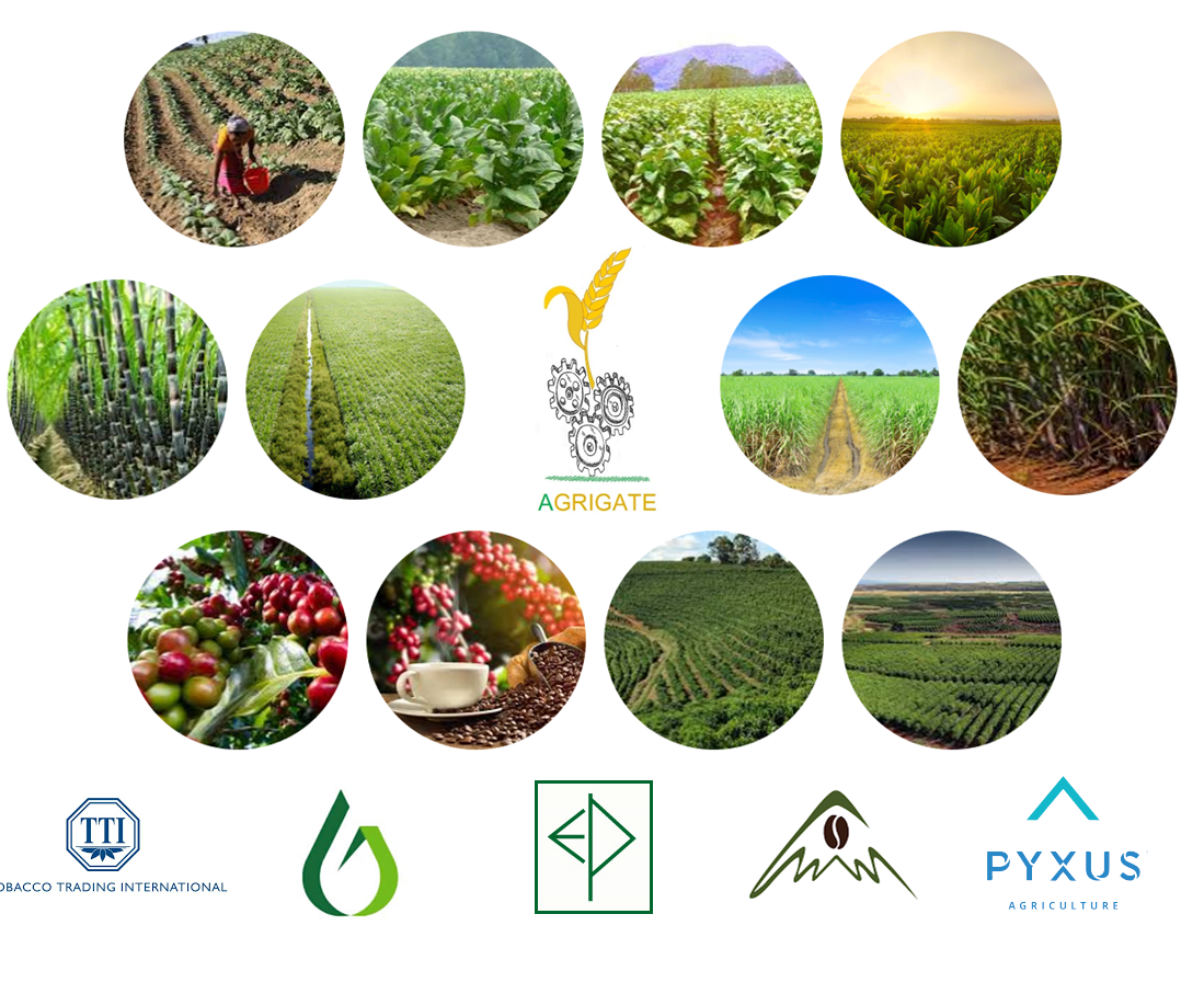 agrigate